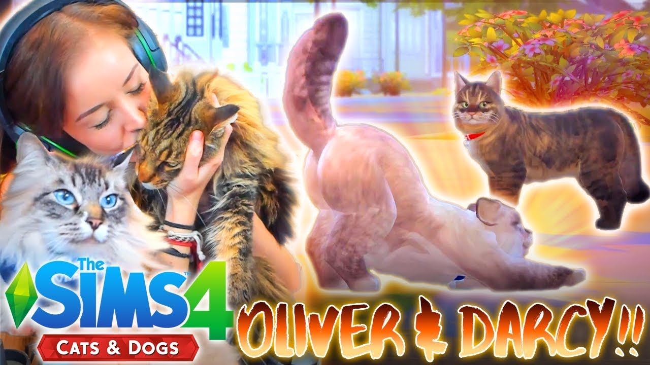 sims 4 cats and dogs free download 2020